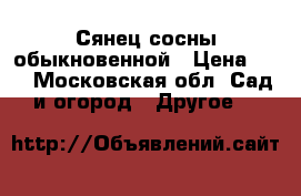  Сянец сосны обыкновенной › Цена ­ 4 - Московская обл. Сад и огород » Другое   